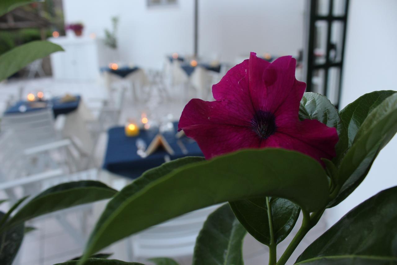 Hotel Villa Bina Sant'Angelo  Extérieur photo